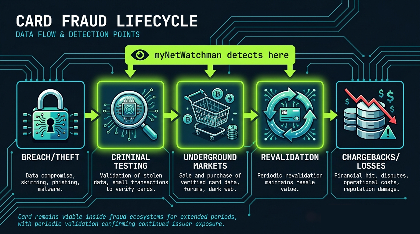 Card fraud lifecycle diagram showing myNetWatchman's intervention at the testing stage